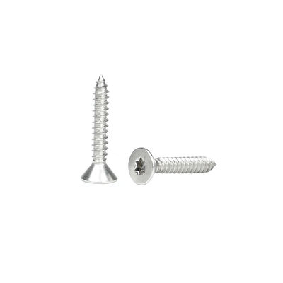 Plain Finish Torx Flat Countersunk Self-Tapping Screws 316 roestvrij staal voor hout
