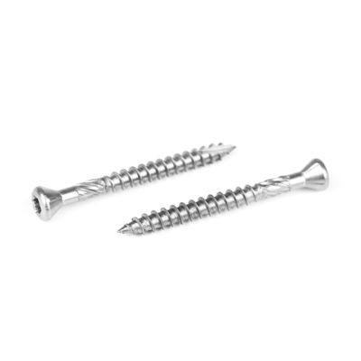 Pan Head Oval Torx Deck Screw van roestvrij staal voor snelle en betaalbare installatie