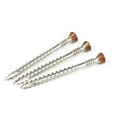 10x65 mm roestvrij staal 316 Torx platkop droogmuurschroeven voor houten bouwwerk