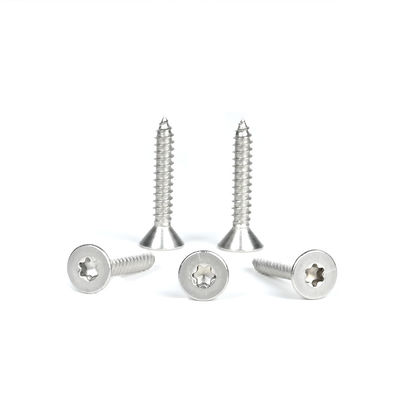 Plain Finish Torx Flat Countersunk Self-Tapping Screws 316 roestvrij staal voor hout