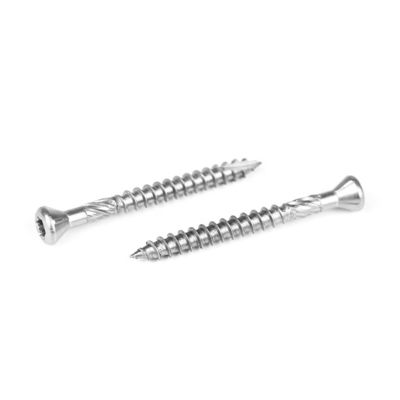 ISO-standaard van roestvrij staal: schroeven van splijtplaten met een platte kop met een draad Torx A2 Zink
