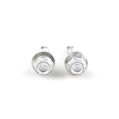 Ruspert Finish roestvrij staal Hex hoofd Bimetallische dak schroef Ss316 zelfboren schroef met Epdm wasmachine voor dakbedekking