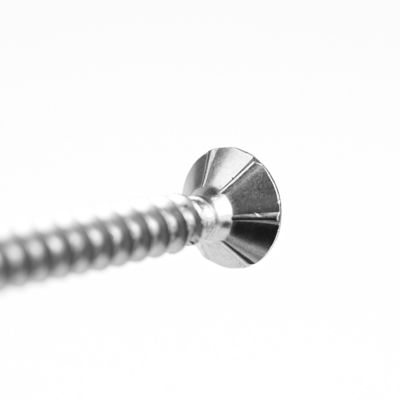 Op maat gemaakte flatschroeven met dubbele tegenhanger schroeven van splijtplaten voor houten dek