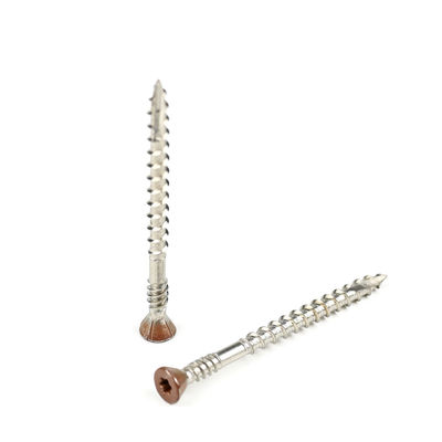 Plain Finish van roestvrij staal Countersunk Torx Head Double Thread Drywall Schroef voor bevestiging