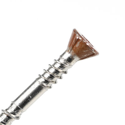 Plain Finish van roestvrij staal Countersunk Torx Head Double Thread Drywall Schroef voor bevestiging