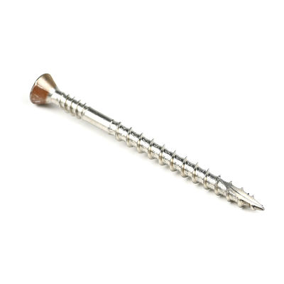 Plain Finish van roestvrij staal Countersunk Torx Head Double Thread Drywall Schroef voor bevestiging