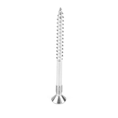 100 mm roestvrij staal dubbele draad Countersunk Torx Head Drywall Schroef
