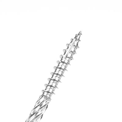 Torx Drive 75 mm hout schroeven in 316 roestvrij staal voor zware houtbouw