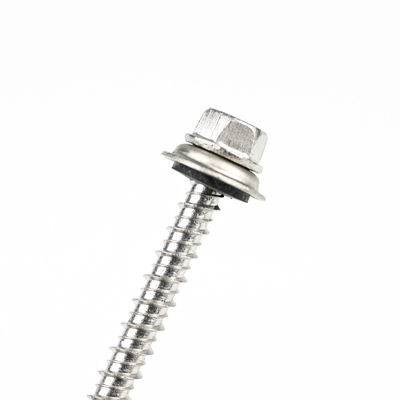 60 mm roestvrij staal vis Autotaraudeuse met Torx Drive en Phillips Washer Hex Head