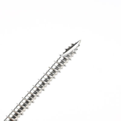60 mm roestvrij staal vis Autotaraudeuse met Torx Drive en Phillips Washer Hex Head