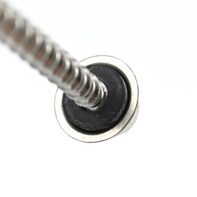 60 mm roestvrij staal vis Autotaraudeuse met Torx Drive en Phillips Washer Hex Head