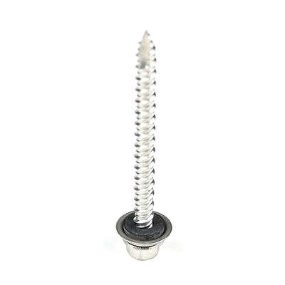 60 mm roestvrij staal vis Autotaraudeuse met Torx Drive en Phillips Washer Hex Head