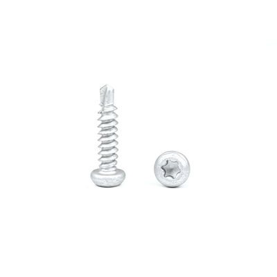 Bi-metaal roestvrij staal 304 Torx Pan Head zelfborende schroeven waterdichte schroef