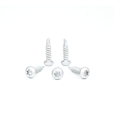 Bi-metaal roestvrij staal 304 Torx Pan Head zelfborende schroeven waterdichte schroef