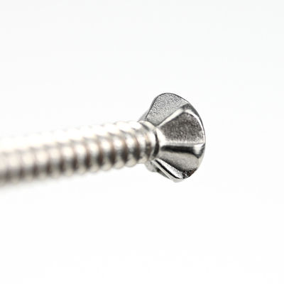 SUS410 Flat Phillips Head Self Tapping Self Drilling Screw Wing Tek Schroef met nippen 4.2x38