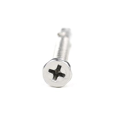 SUS410 Flat Phillips Head Self Tapping Self Drilling Screw Wing Tek Schroef met nippen 4.2x38