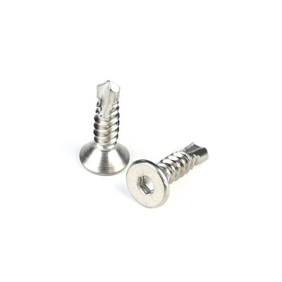 Visible Torx Drive zelfborende schroef voor vezelcementplaat en deur 100% QC getest