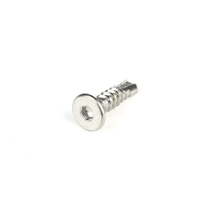 Visible Torx Drive zelfborende schroef voor vezelcementplaat en deur 100% QC getest
