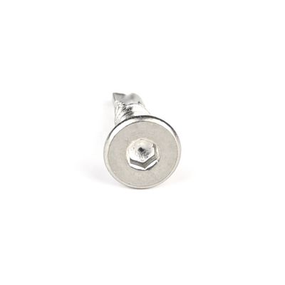 Visible Torx Drive zelfborende schroef voor vezelcementplaat en deur 100% QC getest